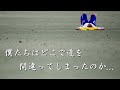 【真夏の夜の一瞬の夢】2006FIFAワールドカップ 日本代表全試合ハイライト