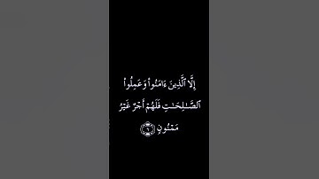 سورة التين بصوت القارئ ياسر الدوسري