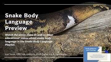 Preview: Guide to Snake Body Language