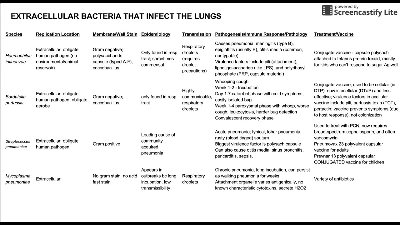Extracellular Bacteria That Infect The Lung
