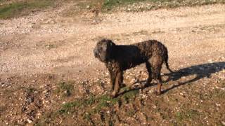 Curly Girl Does Mud...