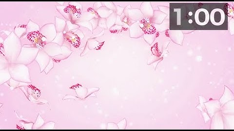 Mesmerizing Floral Symphony: 60-Second Countdown Timer amidst Dancing Petals