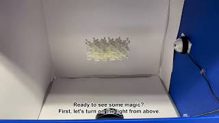 Travel through the nanospace (Ke group)