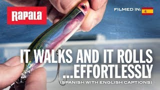 Topwater action with the MaxRap® Walk'n Roll | Rapala® (New Lure) Resimi