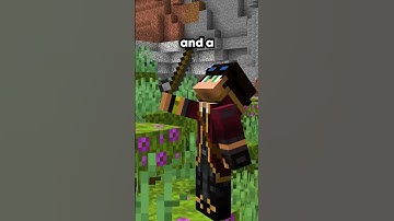 This player... looted an entire mineshaft before ANYONE ELSE on my server #minecraft #server #smp