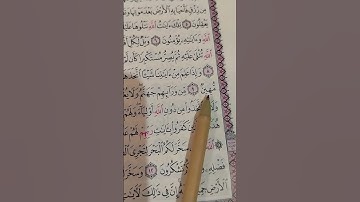 اكتب شئ تؤجر عليه ❤😴 #quran #قرآن #تلاوة_خاشعة #القرآن #ماهر_المعيقلي #subscribe