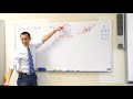 Understanding Roots and Graphs