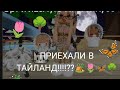 . .  .!! ПрИЕХАлИ сеМЬёЙ В ТАЙЛАНД!! 🦋🏕️🌳#ROBLOKS # брукхейван 🏡