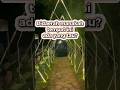 pemandangan alam di malam hari #pemandangan#malam#wisata alam#kuliner#alam#indah#virall#healing#fyp#
