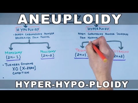 Aneuploidy and its classification