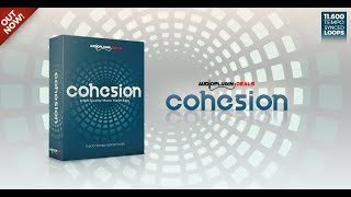 Part 1: Introducing Cohesion by Audio Plugin Deals - Loops Walkthrough