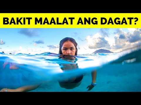 Video: Kung Paano Nagdudulot Ang Buwan Ng Pagtaas Ng Alon Sa Dagat At Mga Karagatan Ng Earth