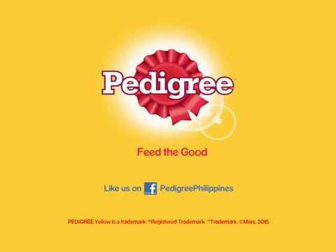 Pedigree "Food For Dogs"