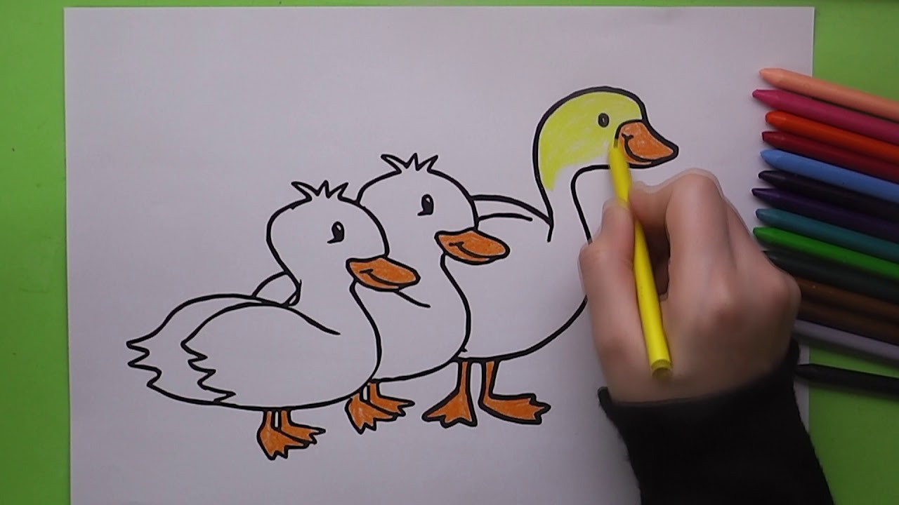 Ordek Boyama Ordek Nasil Boyanir Coloring Duck Youtube