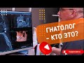 Гнатолог - кто это?