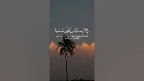 قرآن كريم لا اله الا الله محمد رسول الله 🥰🌿