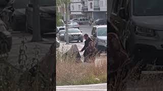 Bana Böyle Sarılmadı