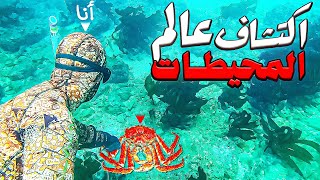 رحلة غوص : العيش الحر تحدي الغطس والصيد طبخ كراب والحجلة? وجدت النقود ? Spearfishing morocco?