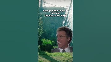 INVADER ON THE FIELD.