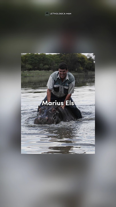Pria Ini Dihabisi Kudanil Kesayangannya : Marius Els #lethologicaman