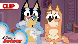 It's Show Time  | Bluey | @disneyjunior