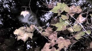 Encroaching Darkness - I Died Again