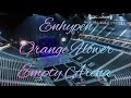ENHYPEN Orange Flower You Complete Me Empty Arena Effect