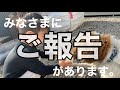 【ご報告】保護犬/老犬/迷子犬/