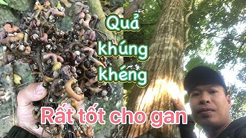 Loại quả quý ngâm rượu,đun uống bổ cho gan  đào thải độc tố cho một lá gan khỏe mạnh-quả khúng khéng