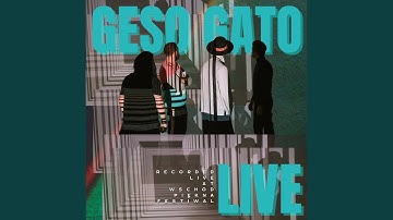 Input-Languages (Live)