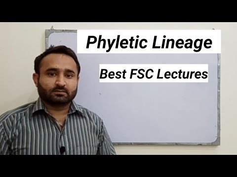 Phyletic Lineage FSC Biology Book 1, Chapter 1