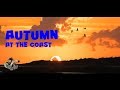 Autumn at the coast - bird photography