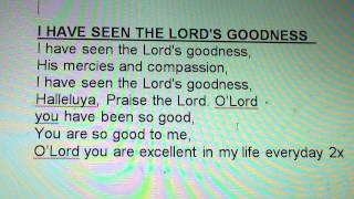 Video thumbnail of "I HAVE SEEN THE LORD'S GOODNESS"
