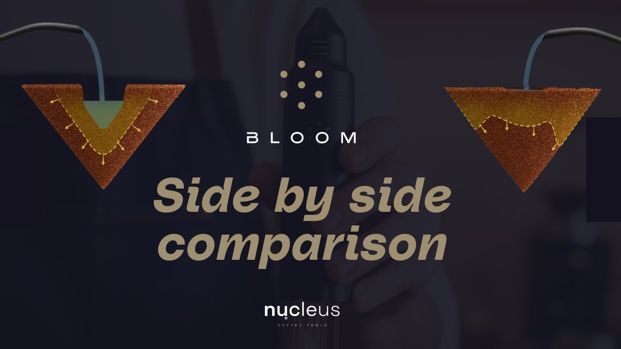 Bloom side by side comparison with Sasa Sestic