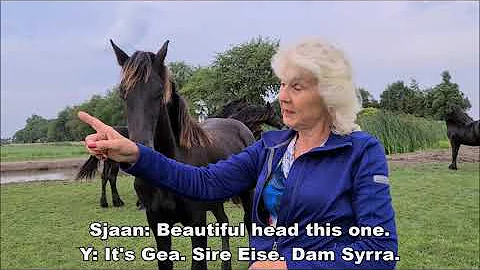 She picks out her Friesian horse!