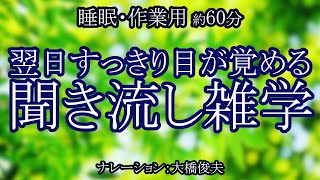 東京タワーに初めて上ったのは「あの有名人」だった！？/【朗読】寝覚めがよくなる雑学【聞くトリビア】 screenshot 3