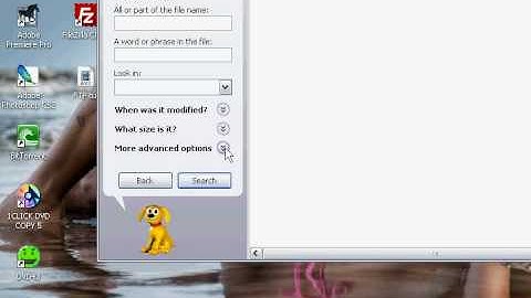 delete hidden files (Win xp)