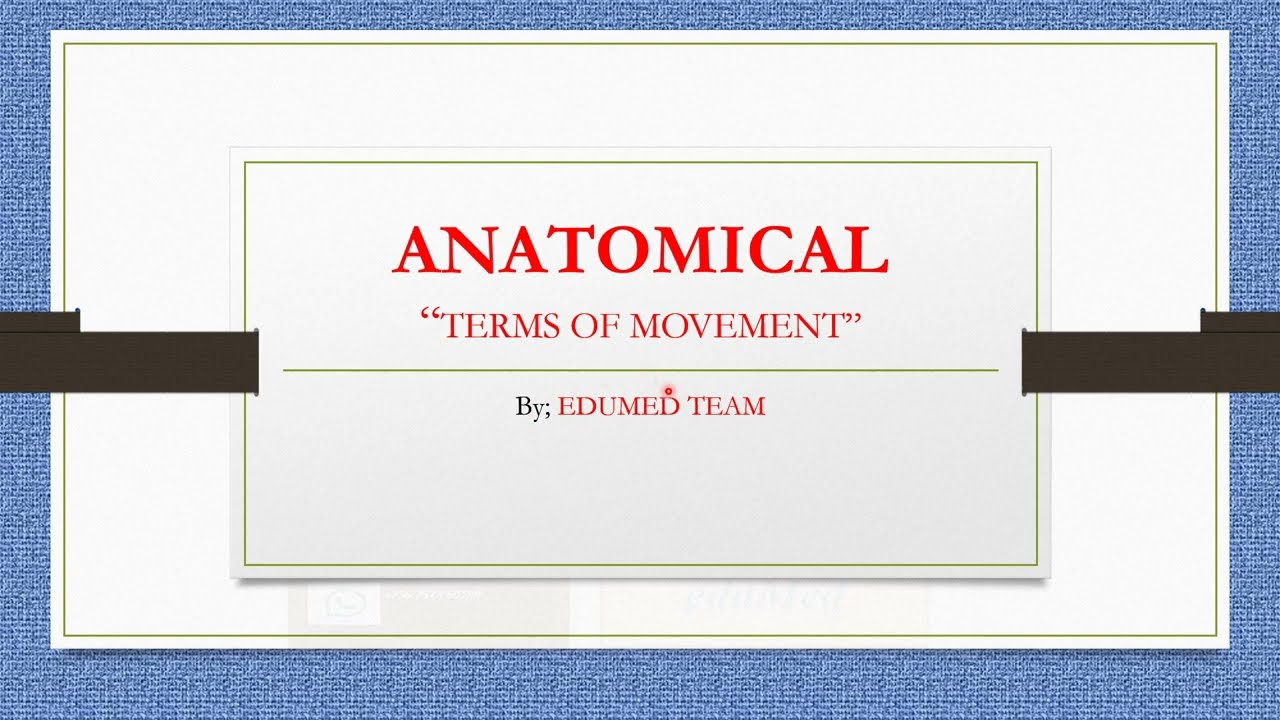 Mastering Anatomical Movements: Learn the Basics of Body Motion! | Anatomy Explained