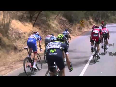 2016 Thomas Foods Stage 3 Race Highlights