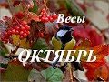 ВЕСЫ.  ПРОГНОЗ на ОКТЯБРЬ 2023  года. ТАРО. Татьяна Шаманова