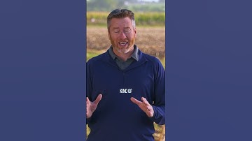 Should you be worried about SOUTHERN RUST?