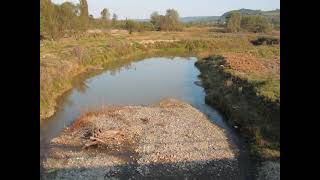 Mica Kojic Brgulac - Tamnava Je Sumila