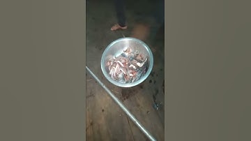 Cách làm khô cá rô phi ở miền tây nha mấy bạn