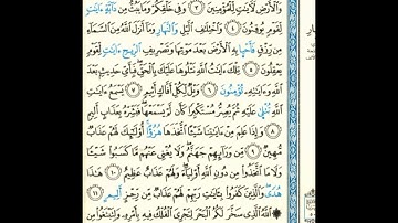 القرآن الكريم صفحة رقم 499 برواية الدوري عن الكسائي القارئ مفتاح السلطني