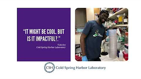 How creativity and curiosity fuel advancements in pancreatic cancer research