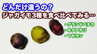 動画で家庭菜園『どんだけ違うの？　ジャガイモ３種を食べ比べてみる…グランドペチカ、キタアカリ、マゼラン』Ｈ30.1.19