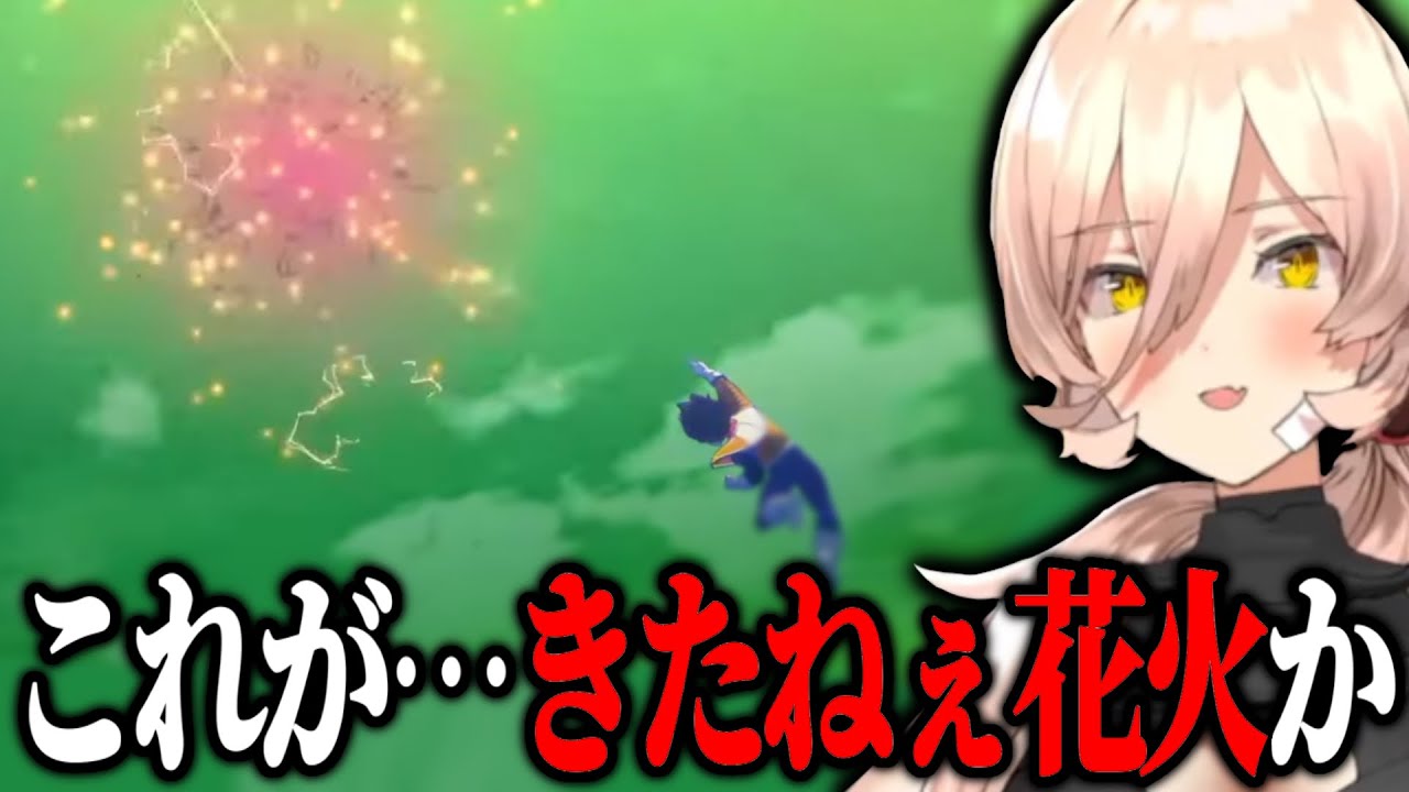 ついに｢きたねぇ花火｣を履修するニュイ【にじさんじ/にじさんじ切り抜き/ニュイ･ソシエール/vtuber/ドラゴンボール】