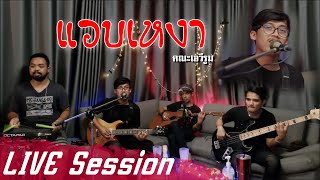 แอบเหงา - คณะเอวีรูม【LIVE Session】| Original : เสนา หอย 4K