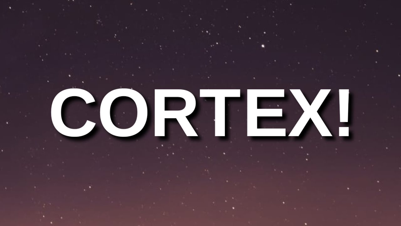 Ryzair - CORTEX! (Lyrics) "Brrrrrr who dis? It’s big CEO is your stupid!" [Tiktok Song]