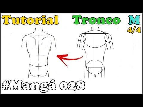 COMO DESENHAR TRONCO MASCULINO DE COSTA MANGÁ 028 - HOW TO DRAW MANGA